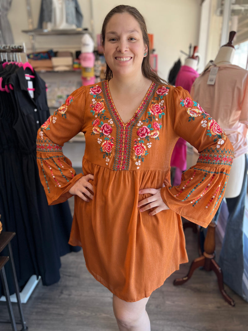 Embroidered Rust Shimmery Dress