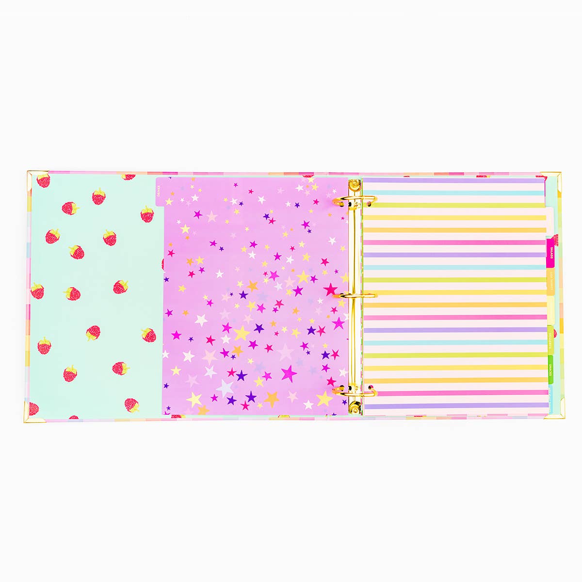 Recipe Binder w/ Tabs