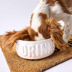 Dinner and Drinks Dog Bowl Set - Mud Pie